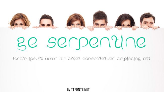 GE Serpentine example